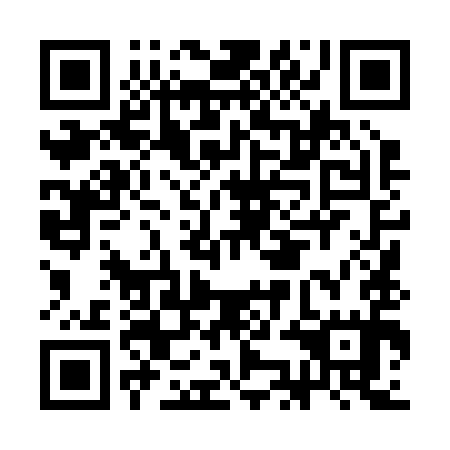 QR code for CKL 295