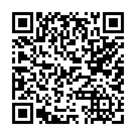 QR code for CKM294