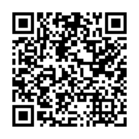 QR code for plate CLS 382