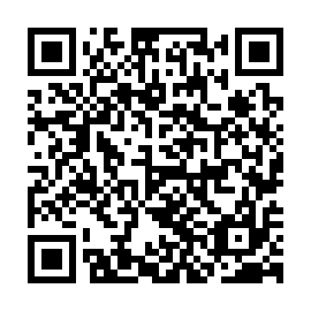 QR code for CNN 317