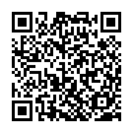 QR code for plate CNQ 065