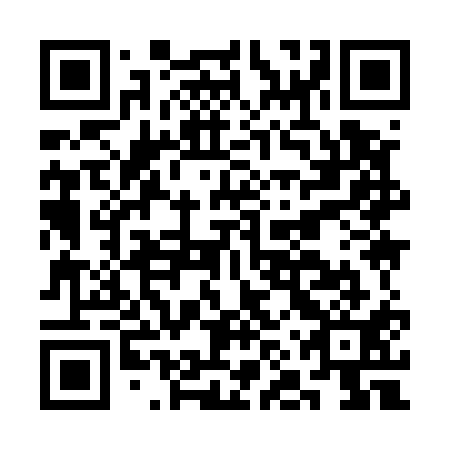 QR code for CNY 511