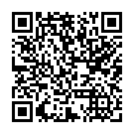 QR code for plate COK 384