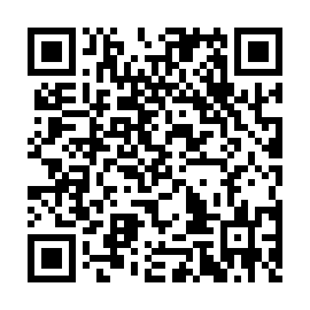 QR code for plate COL 153