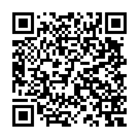 QR code for plate CPP 459