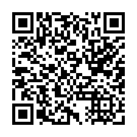 QR code for CQE 919