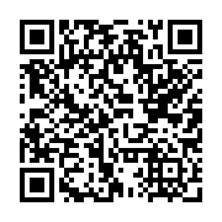 QR code for plate CRT 381