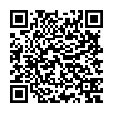 QR code for CSE838