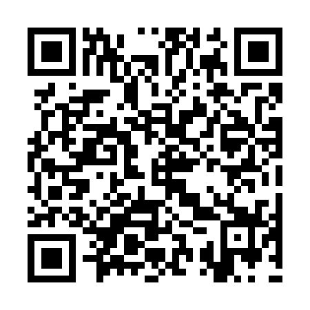 QR code for CSP 739