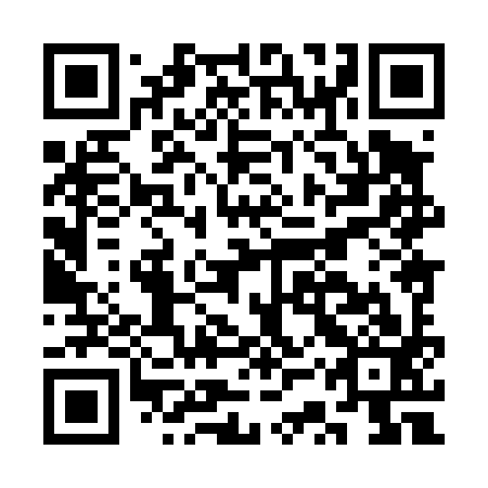 QR code for CSX 493