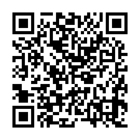 QR code for CTF 979