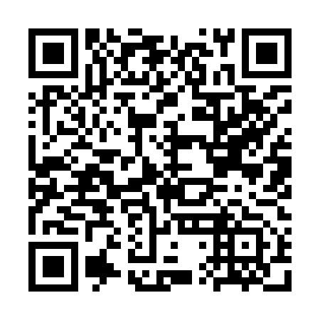 QR code for plate CTI 953