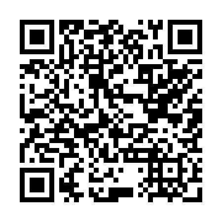 QR code for plate CTM 238