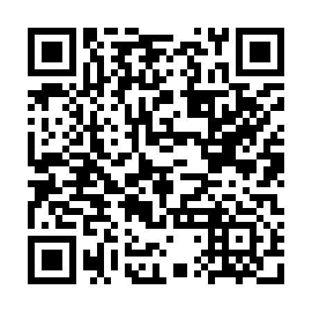 QR code for plate CTN 913