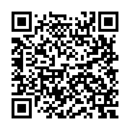 QR code for CTP 913