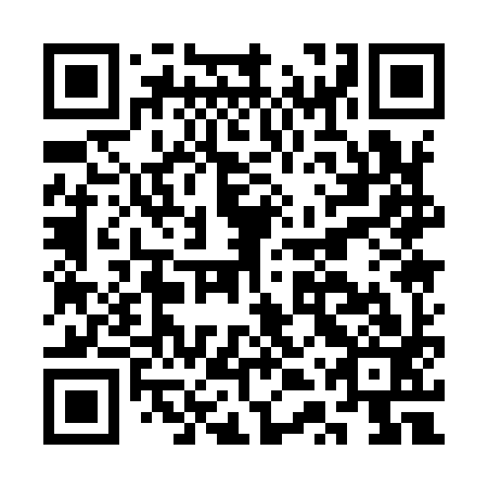 QR code for CTQ 993