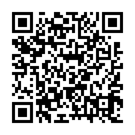 QR code for plate CTT 619