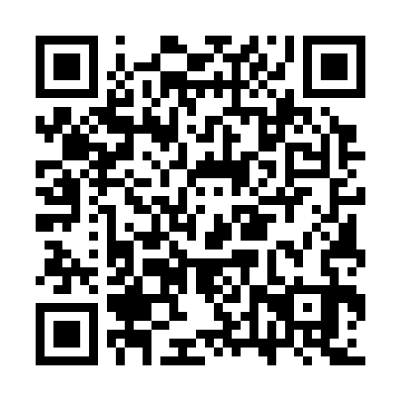 QR code for CTU 333