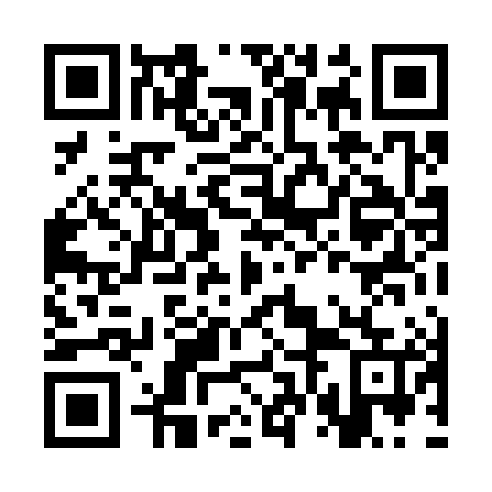 QR code for plate CVL 385