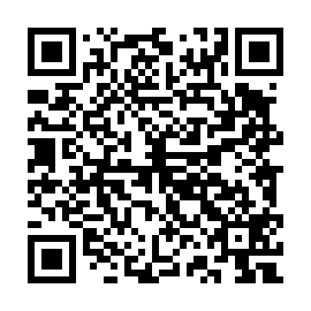 QR code for plate CVL 419