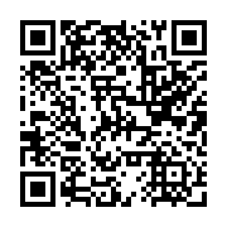 QR code for plate CVP 911