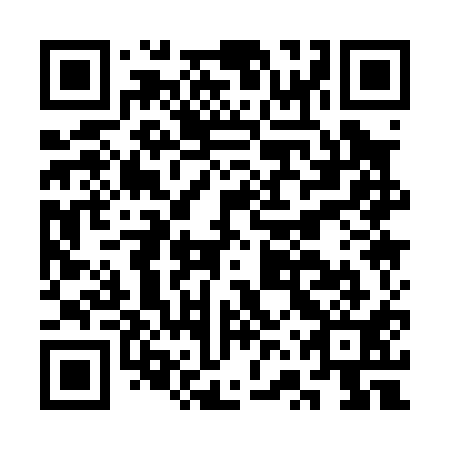 QR code for plate CVQ 011