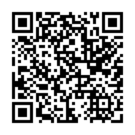 QR code for plate CVU 374