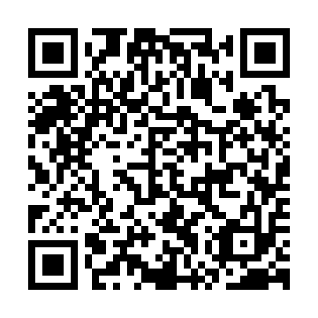QR code for CWS 313