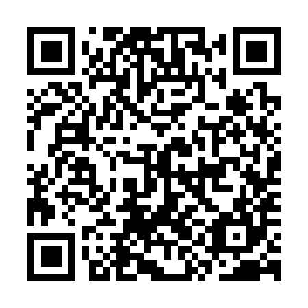 QR code for CYC384