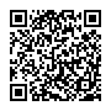 QR code for CYJ 493