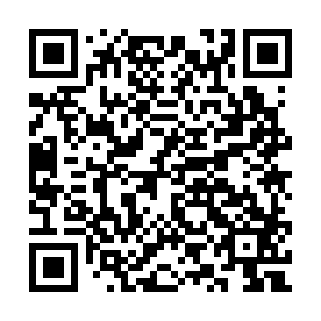 QR code for CYK 383