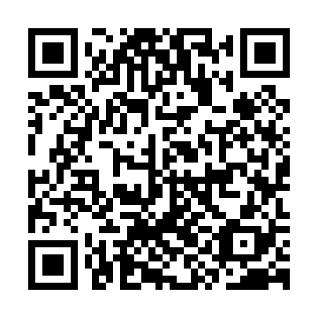 QR code for plate CYK 028