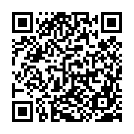 QR code for plate CYK 466