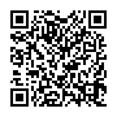 QR code for CYR 919