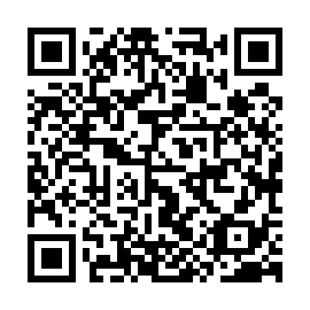 QR code for CYX 538