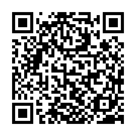 QR code for plate CYX 161