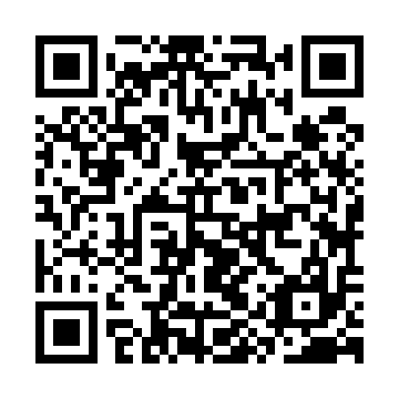 QR code for plate CYZ 517