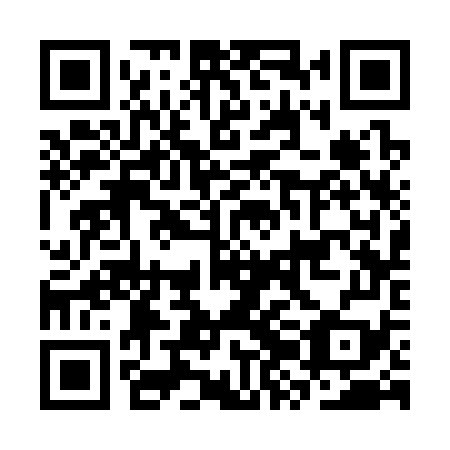 QR code for CZC379