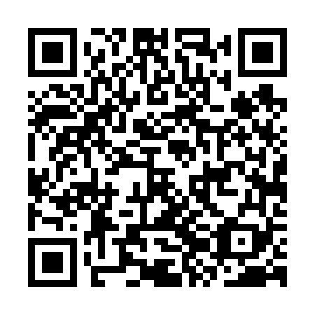 QR code for plate CZD 669