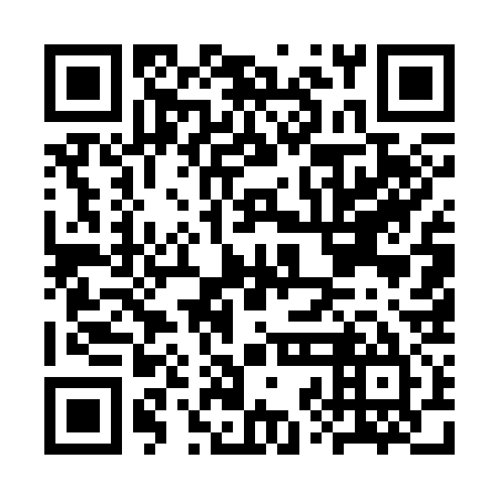 QR code for plate CZE 335