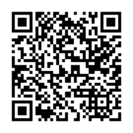 QR code for plate CZE 969