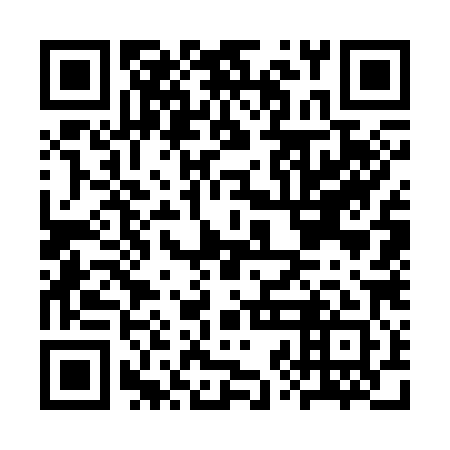 QR code for CZG 381