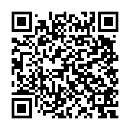 QR code for plate CZG 408