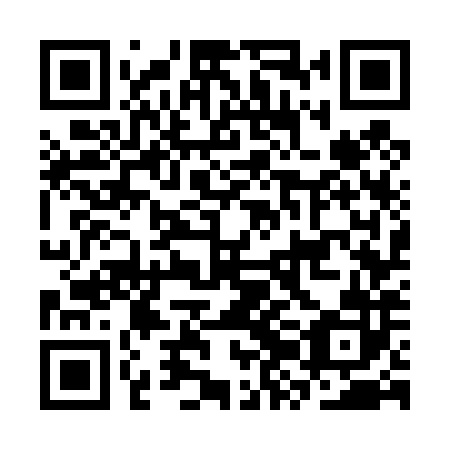 QR code for plate CZG 482