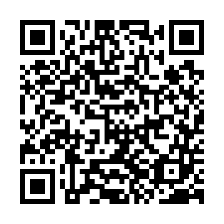 QR code for plate CZG 743