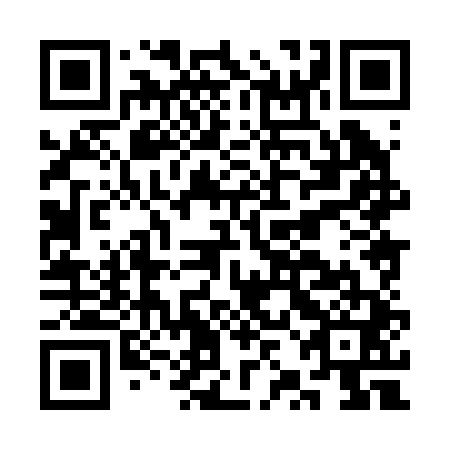 QR code for CZH 241