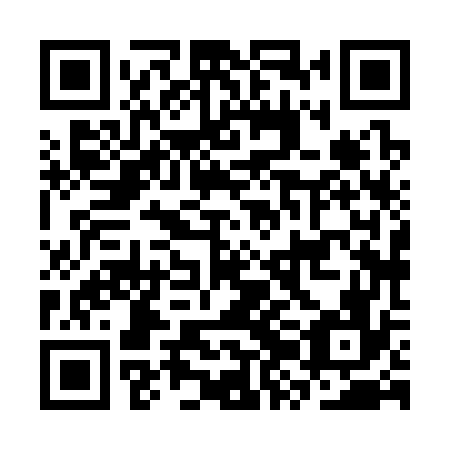 QR code for CZH 376