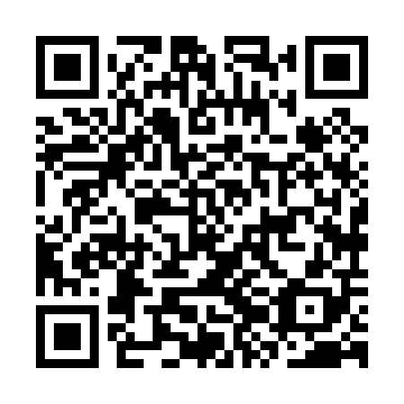QR code for plate CZH 008