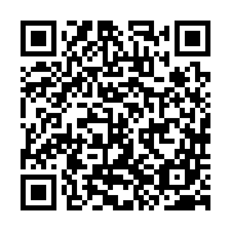 QR code for plate CZH 347