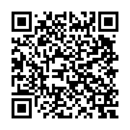 QR code for CZI452